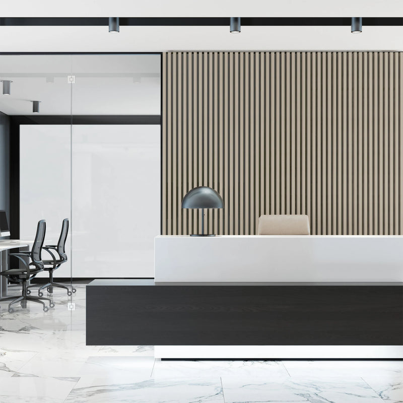 Panneau Acoustique à Lattes MDF Lot de 2, 120 x 60 cm, 3 Couleurs