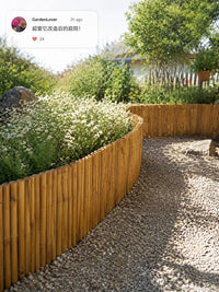 Brise-Vue Bambou en Rouleau Bordure de Jardin 500 x 50 cm