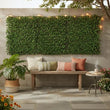 Brise-Vue Extensible Feuillage Eucalyptus Vert Cadre Saule 180 x 90 cm