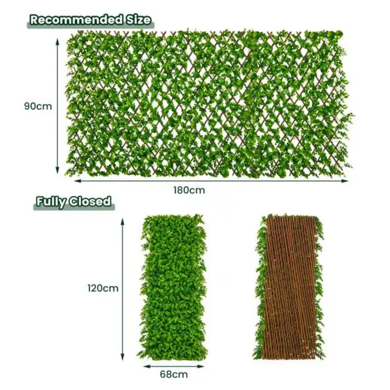 Brise-Vue Extensible Feuillage Eucalyptus Vert Cadre Saule 180 x 90 cm
